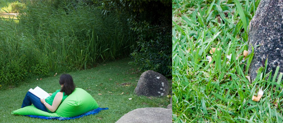 Jardim Gulbenkian Jardim Gulbenkian futuro Jardim da Beata