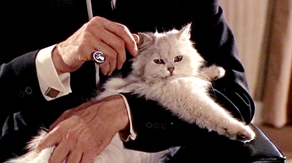 Ernst Stavro Blofeld e o seu gato